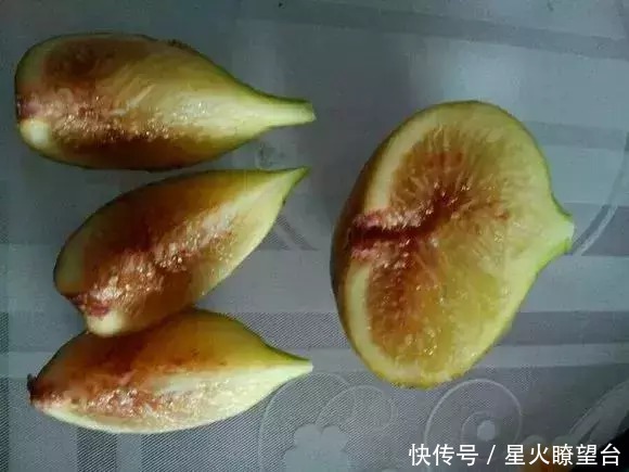 1根枝条插土里，10天生根，来年结果，一结一箩筐，吃不完！