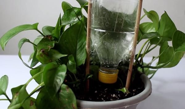 家家户户|塑料瓶上绑2根筷子,解决了家家户户的困扰,在家做10个都不够