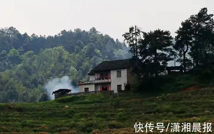 秋天|湖南这座“武功山”，有着最美的秋天草甸