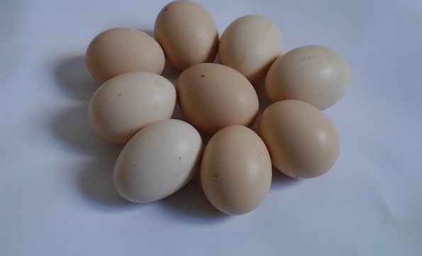 枸杞|70岁老人的“回春”小妙招,每天吃一点,晚上妻子乐开怀