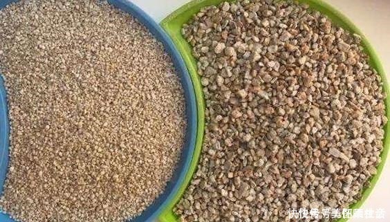 花盆|花盆里有小飞虫,不用喷药,简单1个方法,干净清爽,花草旺!