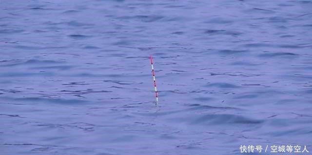 这篇|不知道用七星漂还是立漂,看完这篇就知道了