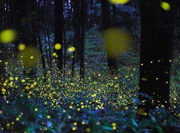 人生|唐诗中很冷门的一首诗,却蕴含人生哲理,值得一读再读