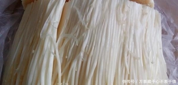 它是不打农药的菜,堪称“脑黄金”,肉都比不上,常吃健脑益智