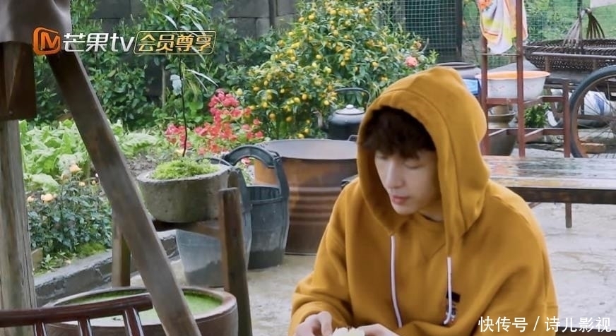 彭昱畅 向往的生活:何炅虽然浮夸,但没了他,这节目会跟《桃花坞》一样