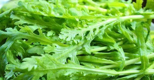 皮黄绿|3种补肾食物,老中医家中常备,男人想补肾家中要多“囤货”