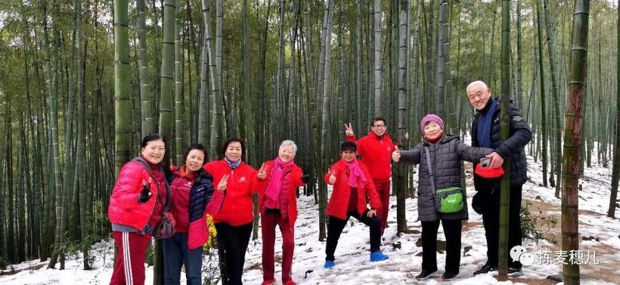 大竹海|正月下江南（1）雨中游太湖古镇，游览雪后中国大竹海