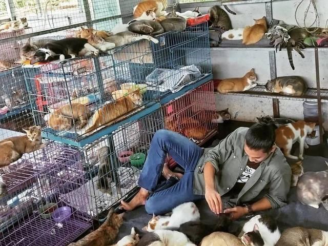 自律|“帅和尚”露大肌肉迷倒无数妹子,网友:和尚界的王力宏