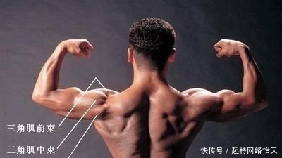 运动|有效刺激三角肌的运动, 决定身体宽度的部位, 先从三角肌入手