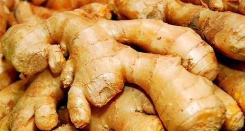 生姜保鲜不要总给冰箱放，老农民的土方法，随吃随取，特别新鲜