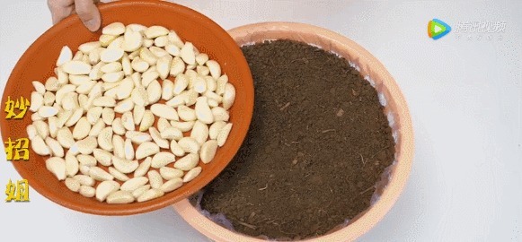 在垃圾桶里装满泥土,摆在阳台上有妙用,一年能帮你省下不少钱