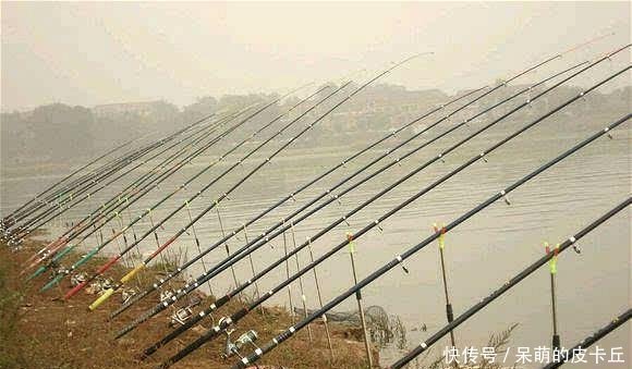 生产性|禁渔期钓鱼要当心!相关规定出台,对娱乐性垂钓有明确要求