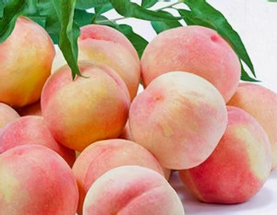 种维生素|女人爱美,推荐吃3种食物,润肤养颜,延缓衰老,滋补身体