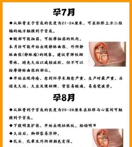 怀孕期间宝宝的成长变化以及注意事项