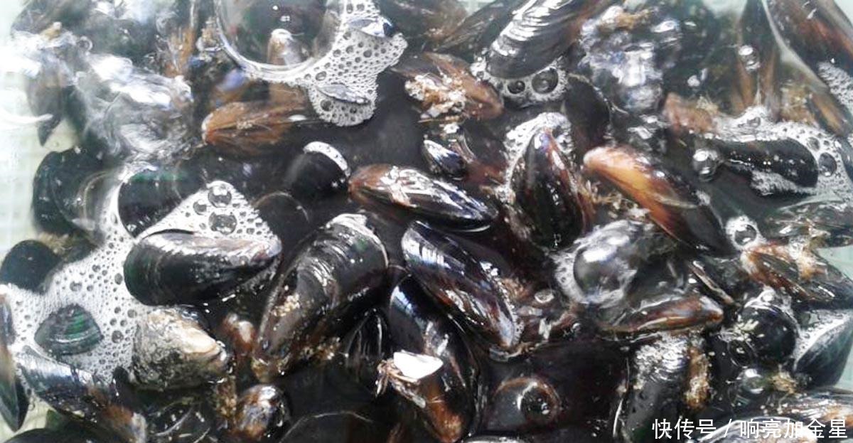 春天,遇见“第一鲜”要多买一些,1斤3元,给家人享受天然美味