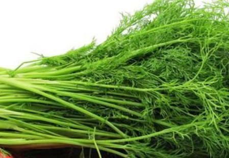 此物|女性常吃此物,排出子宫污血,远离妇科炎症,肌肤更嫩滑,效果好