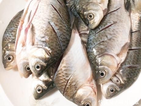 秋后碰到我从不还价的鱼,一买就是5斤,营养极高,煎着吃特香