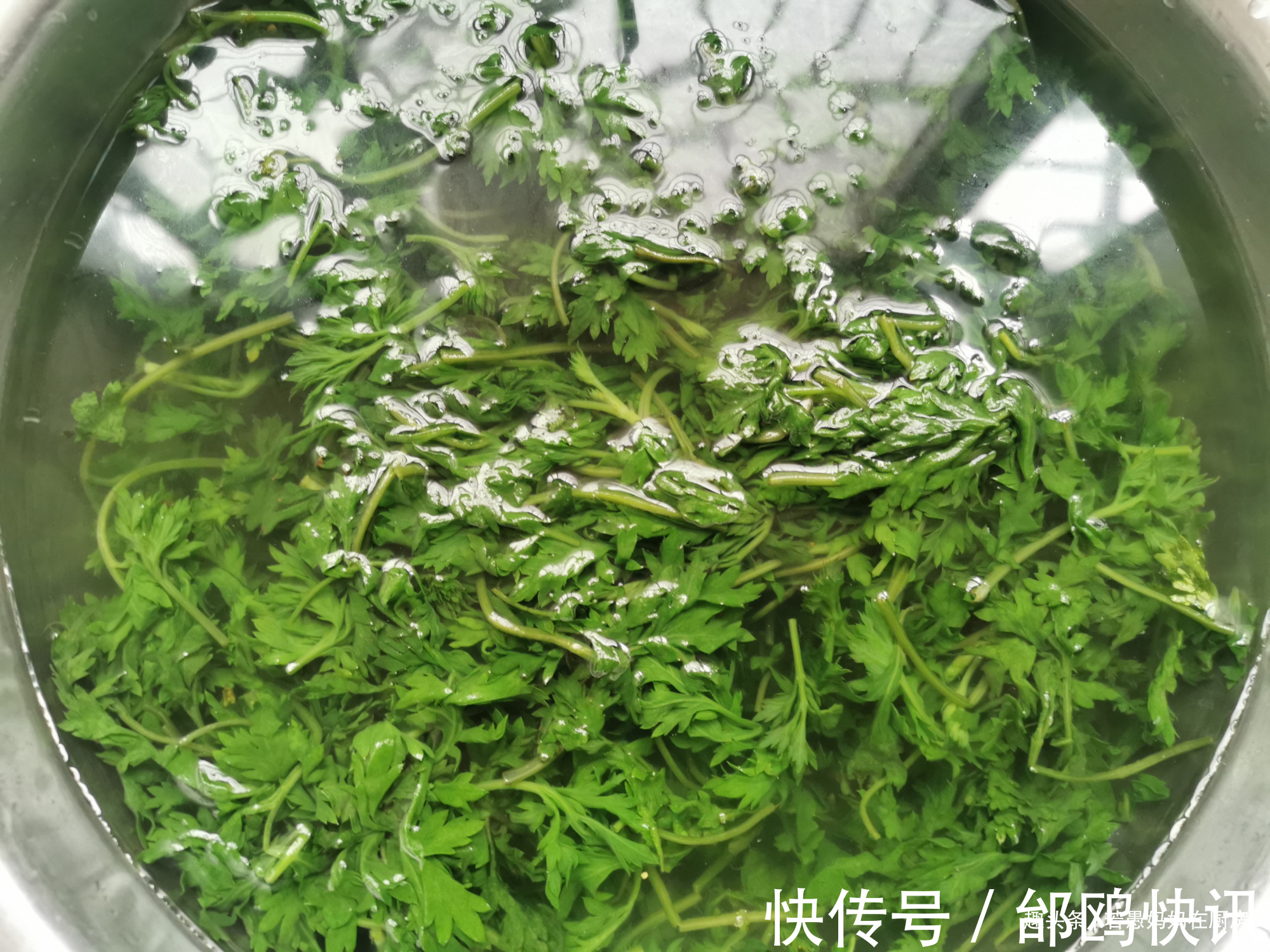 沙拉酱|想吃青团不要排队买，此方子不塌陷不变硬，比买的都好吃