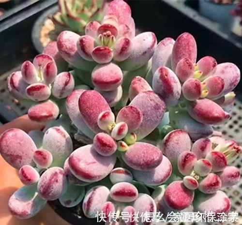 作业永远收不齐,老师想到一个好办法,当场分辨哪些人作业没交