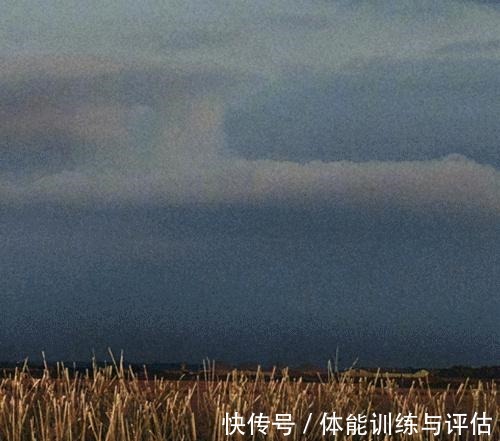 奥运|OMG|这届运动员的发型都有冲金的实力!