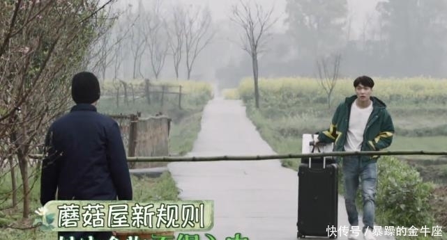 仓库|杨紫来到五斗米仓库关卡时,将4样东西丢在筐里,这也太实在了