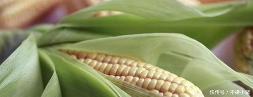 酸奶|减肥期间，吃对食物很关键，晚餐常吃“它”，早上或能准时去厕所