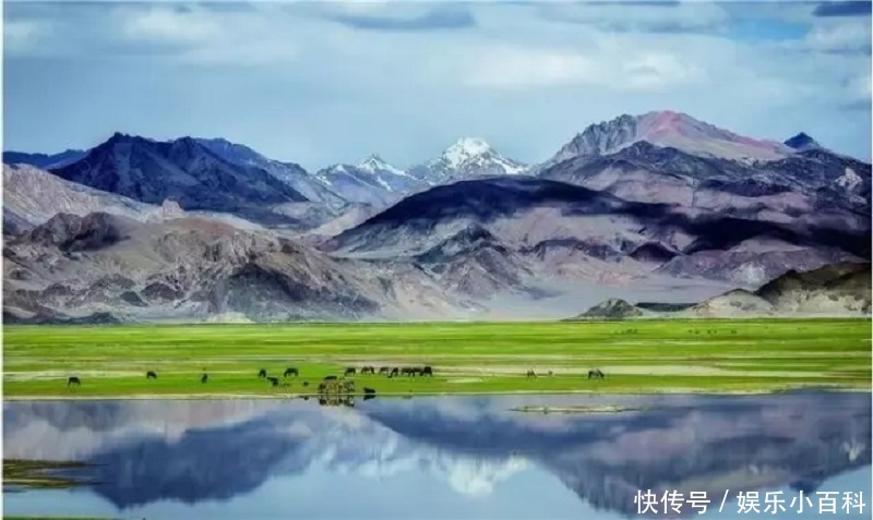  荒野|在世界屋脊，阿里高原的荒野之中，遇见那极致的美丽