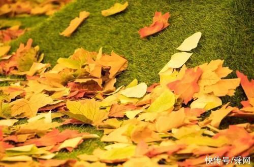 深度睡眠&老祖宗的10句狠话教你怎么做人,话不好听,却很现实!