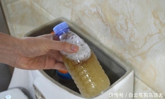 洗涤剂|马桶异味太重很难去除?教你一招,轻松告别臭味,简单实用又省钱