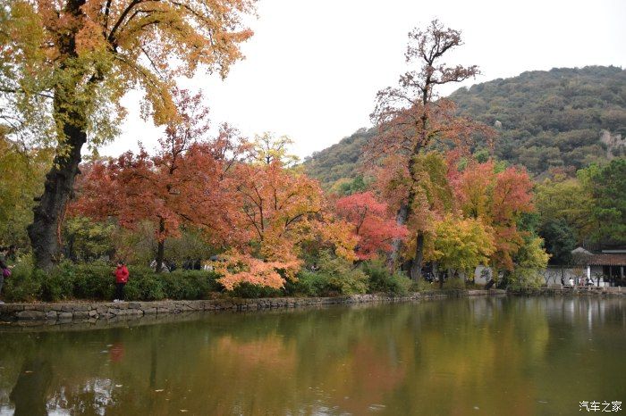 天平山|【喜迎国庆】停车坐爱枫林晚，霜叶红于二月花。游天平山赏枫叶