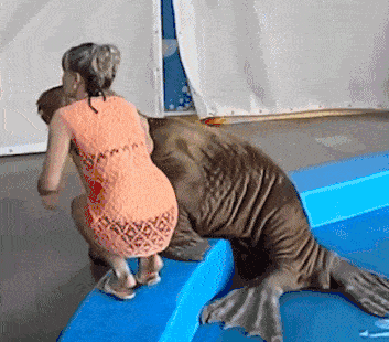 |搞笑GIF:今天带女神去表演真正的技术,实力单身