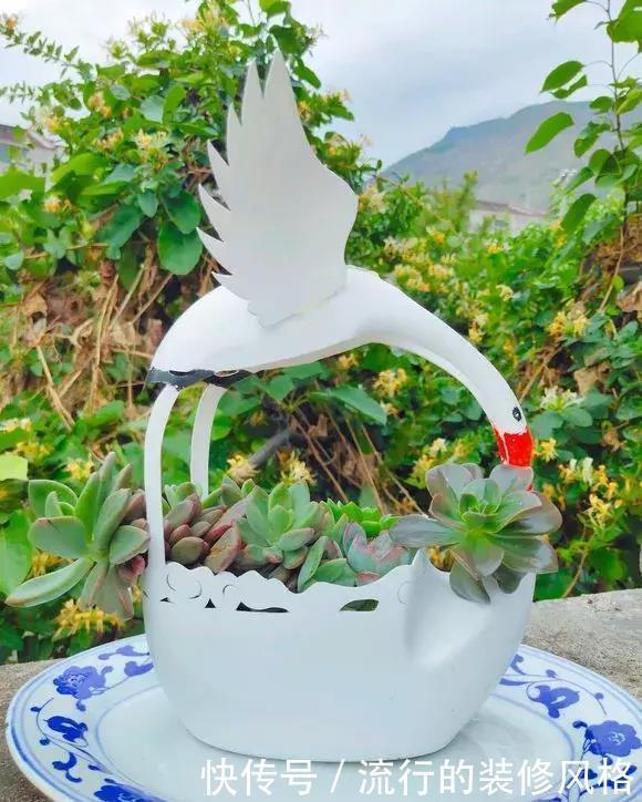 花盆还在买?一找一大堆,1毛钱不花,比买的花盆还要好