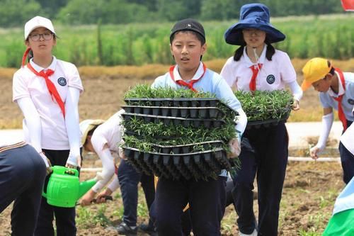 成都一学校期末给学生发青菜，劳动教育的生动诠释