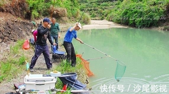 杂鱼|这饵专攻大板鲫，简单实用又省钱，老钓手都拍手叫好