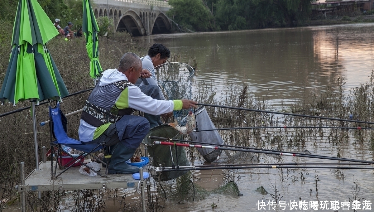 鱼停口就不钓了老司机直言按我说的做,一个鱼护都嫌少