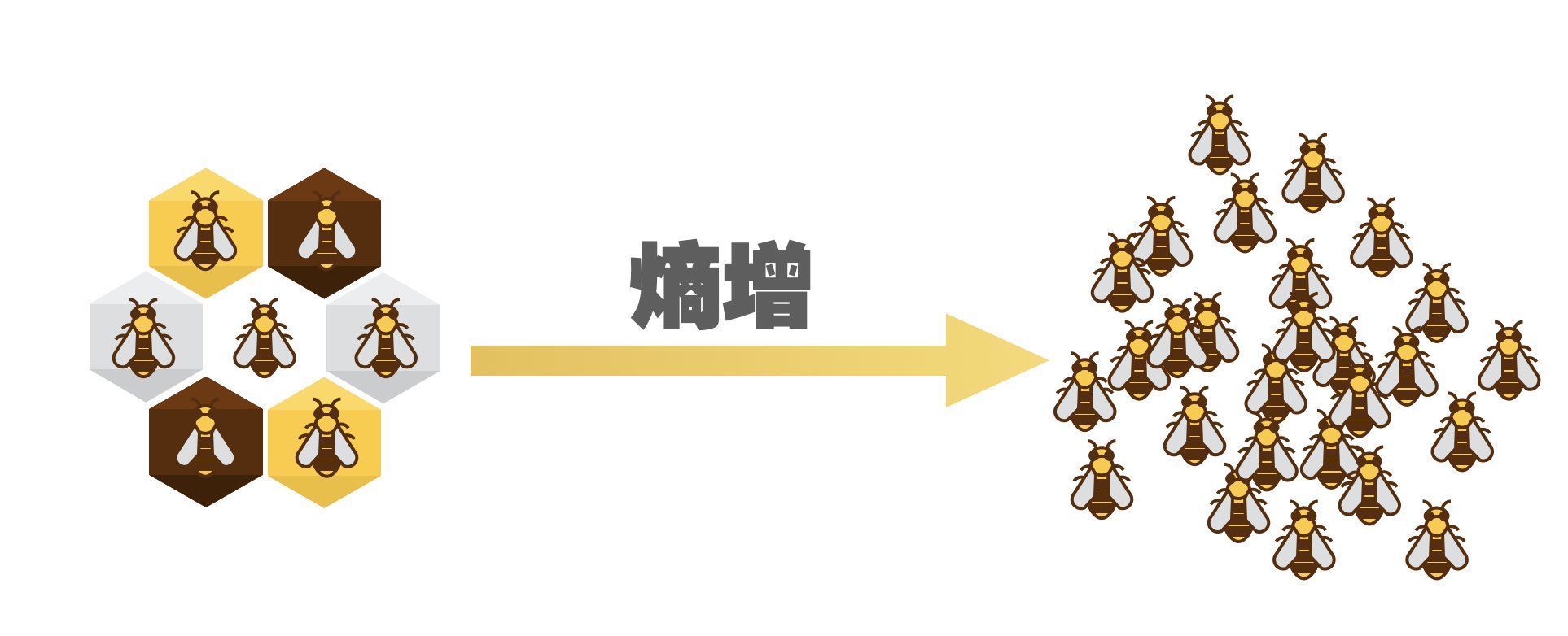 代码|低代码产品的“逆熵”小败局