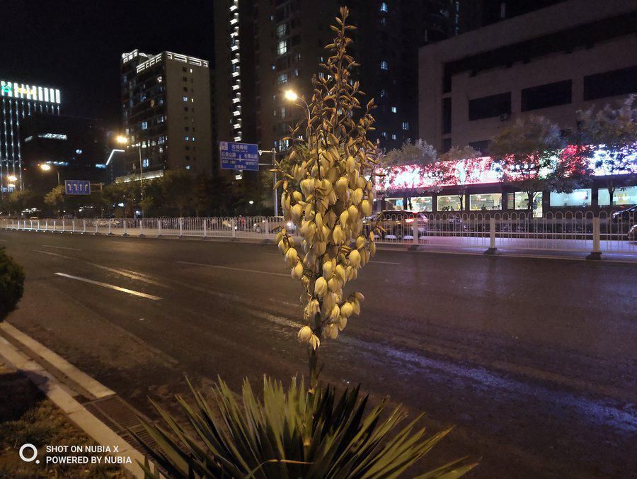 努比亚|实现全面屏的另一个方向 努比亚X全面评测