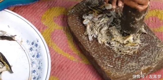 着很大|中国都当垃圾扔掉的东西,在印度却成为日常食品,你知道是什么吗