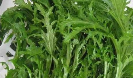 人到中年想长寿，三种食物换着吃，排毒养颜，营养丰富，试试吧