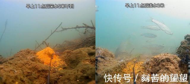 冬季钓鱼,什么时候钓深钓浅鱼窝这样找,深浅都能上鱼