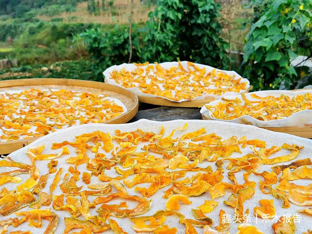 适合夏天晒的5大干菜，第三种能当零食，最后一种要裹上锅底灰
