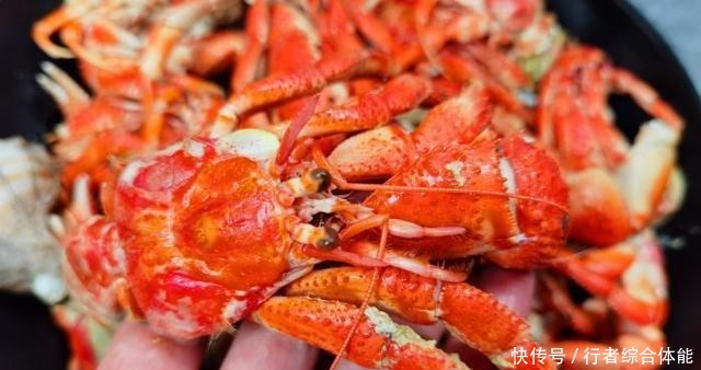 它常被误认为是“小龙虾”,比大虾营养,比螃蟹鲜,不懂吃可惜了