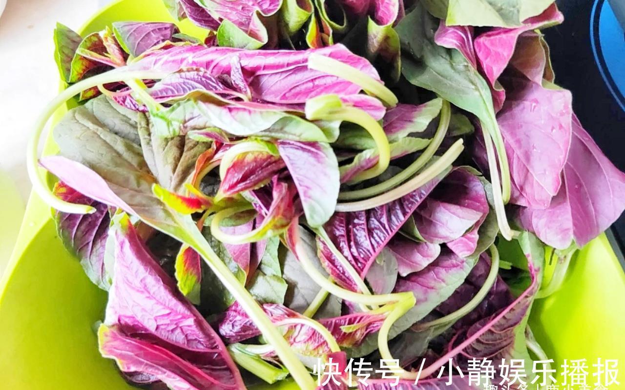 包菜|4种富含“天然叶酸”的营养蔬菜,很多人不了解,常吃身体好