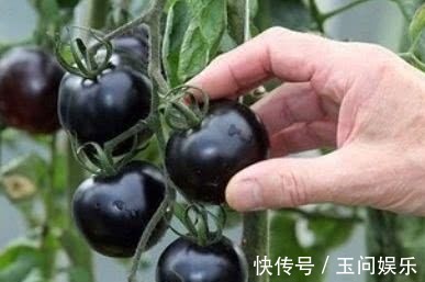 玉米须|女生不想早衰,3种食物不能少,提高免疫力、延缓衰老,美白肌肤