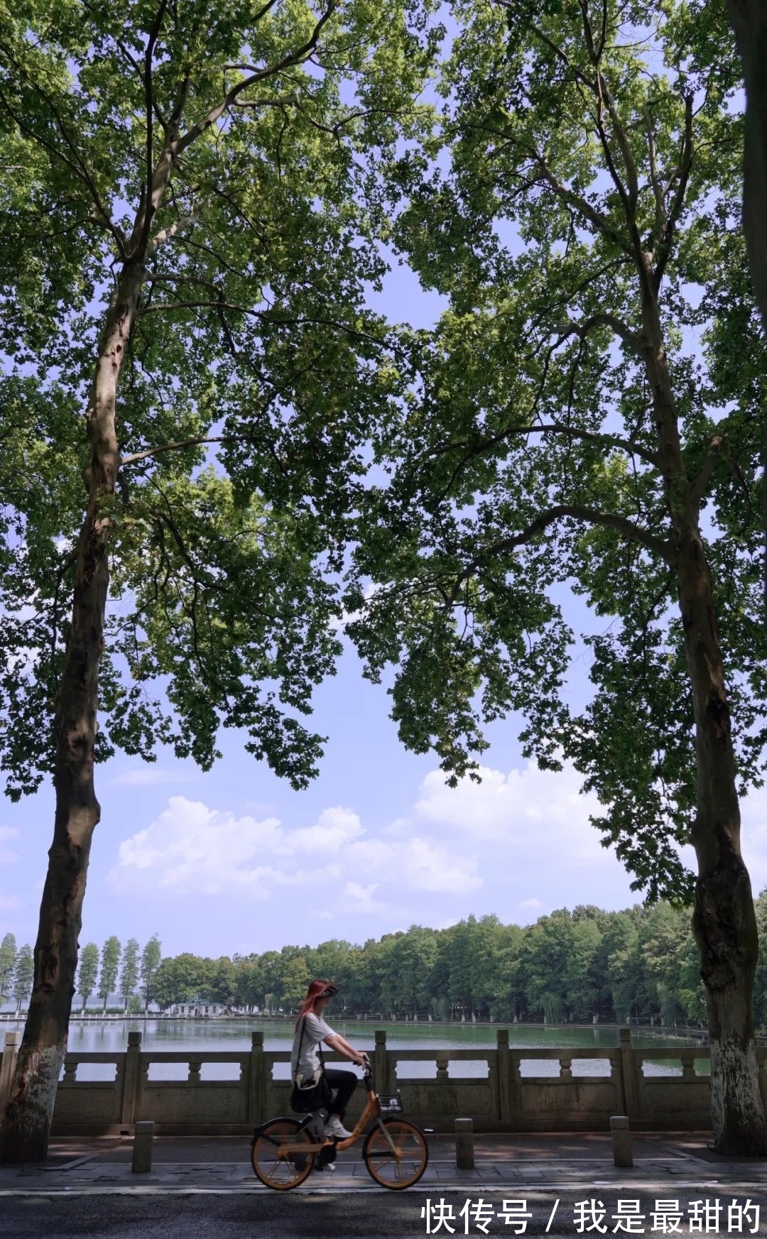 投票|这些上班路上的风景美到可以做壁纸！快来推荐