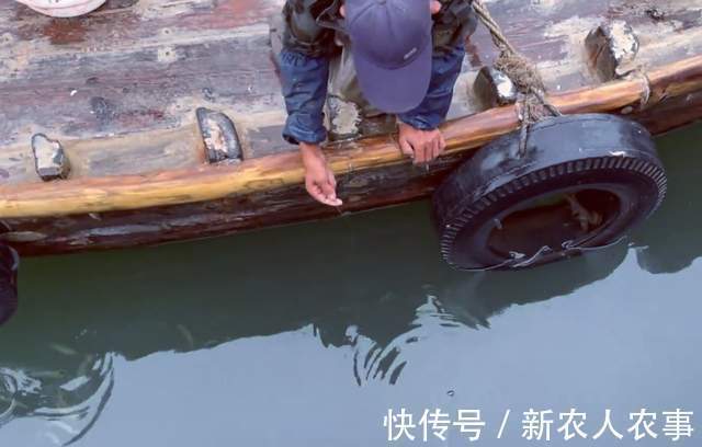 青占鱼|简单粗暴的钓鱼方式,山东一男子玩出了新花样,一秒钟钓一条鱼