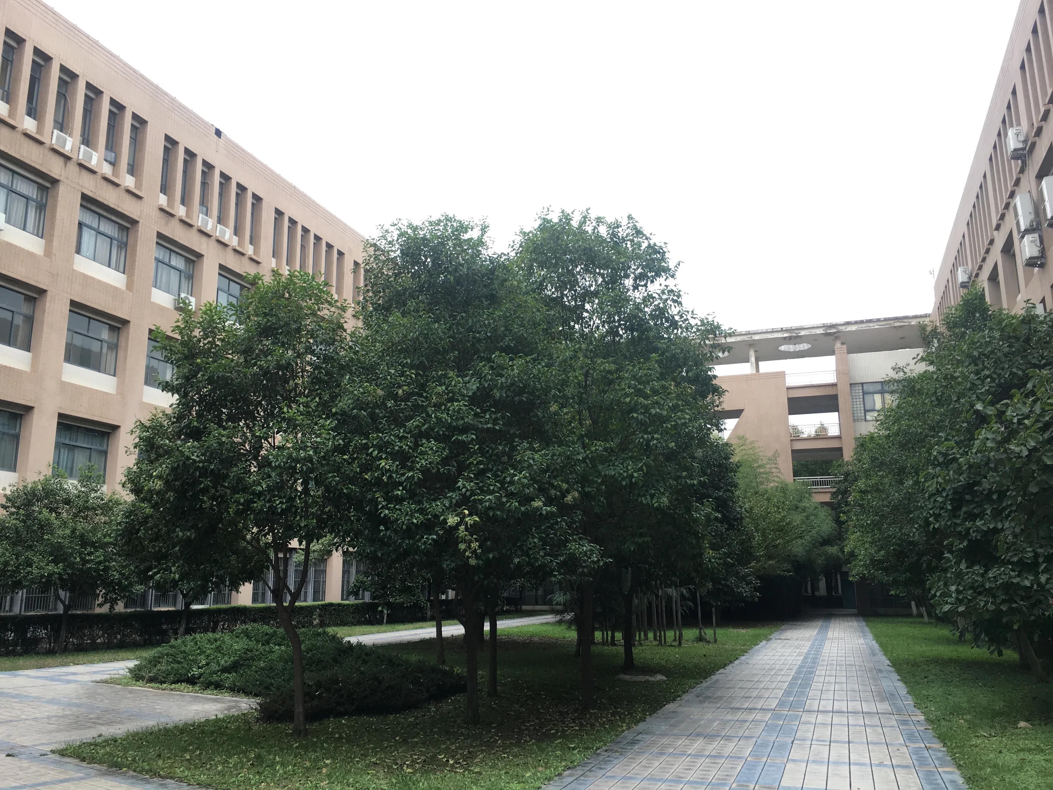 西北大学|寻找最美校园｜走进西北大学：绽放吸睛秋日静气、书香“第一枝”