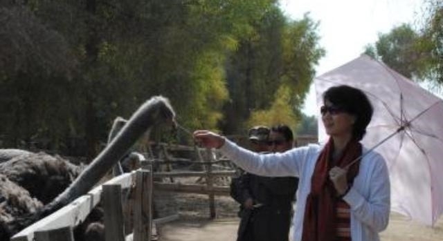 撒贝宁|央视最难请的主持人,主持功底甩董卿好几倍,年过半百却成这样