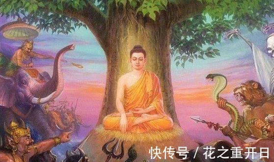 微观世界!释迦牟尼在菩提树下悟道,最后到底悟出了什么不愧是大智之论!