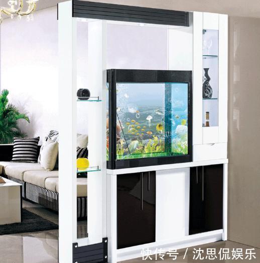 鱼缸|入户玄关不会装5种隔断设计，拥有高颜值的家，还非常的实用